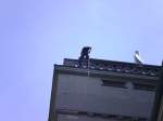 12.06.2011 Werk-Hassmersheim: Aufsteigebungen am 35 Meter Turm, Abseilbungen unter Einsatz von Atemschutzmasken bei vernebeltem Gebude. 
