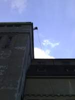 2012_07_25/230289/25072012-seilsportliche-uebungen-im-werk-hassmersheim-abseilen 25.07.2012 Seilsportliche bungen im Werk-Hassmersheim. Abseilen am 35 Meter Turm. 