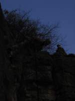 18.11.2013 Felsengarten Hessigheim
Seilsportliche bungen bei Tag, Dmmerung und Nacht.
 Face-First-Abseilen  am Naturfels. Der dritte  Run  