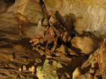 07.06.2014 Besucherhöhle  Bärenhöhle  in Sonnenbühl
Der Ausklang unseres gemeinsamen Abenteuers.
Skelett eines Höhlenbären.
In der Höhle ist das Fotografieren nur ohne Blitzlicht gestattet. 
Ohne Stativ kann man so leider keine qualitativ gute Bilder machen.