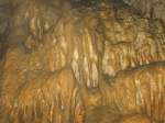 27.09.2014 Grotte de la Malatier / Frankreich
Bei diesem Anblick möchten wir eine langläufige 
Ansicht über die gewisse Eintönigkeit und den 
geringen Reiz von Höhlen widerlegen. 
 Feuchtigkeit, Dunkelheit, Schlamm usw. .
Diese Ansicht ist falsch und einseitig. 
Man wird keine zwei ähnlichen Höhlen antreffen; 
zudem führen die unterirdischen Erkundungen zu 
den mannigfachsten Beobachtungen.
