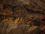 20170924/579446/24092027-urbex-spezial-mundus-subterraneusgrotte-d180osselle 24.09.2027 Urbex Spezial 'Mundus subterraneus'
Grotte D´Osselle - Saint Vit - Frankreich
Kunstwerke wie sie nur die Natur schaffen kann.