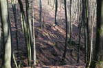 09.02.2020 Urbex Spezial - Seilbahnbau  Gleich greift das Brensseil, so dass  Jens nicht ungebremst in den Baum bzw.