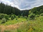 20200804/709336/04082020-urbex-spezial---harz-tag 04.08.2020 Urbex Spezial - 'Harz' Tag Vier
Wandern rund um Wildemann
Grumbacher Teich - Das vorletzte Wanderziel