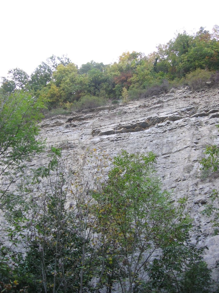 28.09.2011 Abseilbungen an der 45 Meter Steilwand. Bislang sieht man nur die Seile.