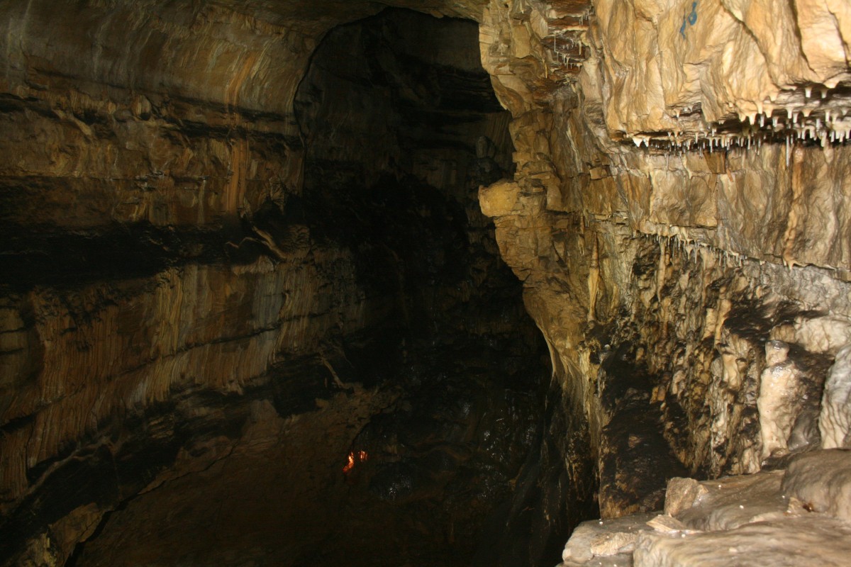 02.05.2015 Grotte de la Malatier (F)
Im Dunkel der Höhlen finden wir
die Geschichte unseres Planeten
