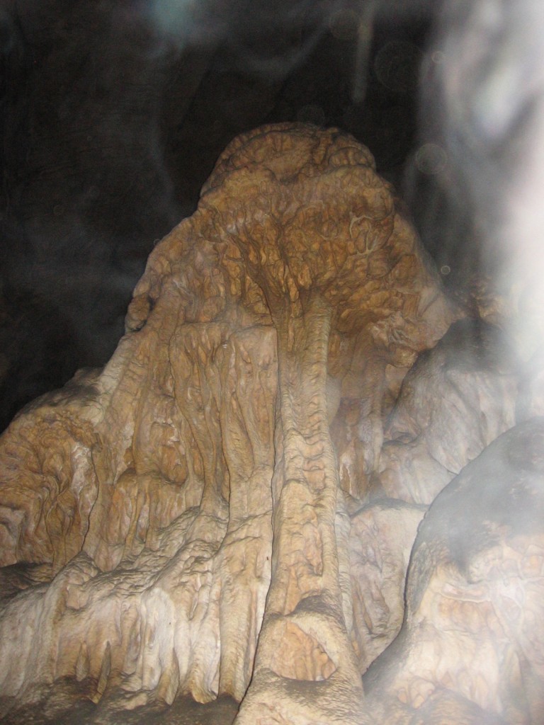 02.05.2015 Grotte de la Malatier (F)
Haben wir hier etwa die Weltenesche vor uns ?