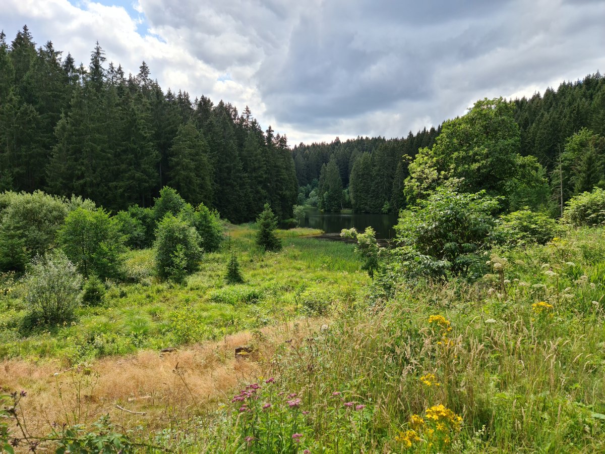 04.08.2020 Urbex Spezial -  Harz  Tag Vier
Wandern rund um Wildemann
Grumbacher Teich - Das vorletzte Wanderziel