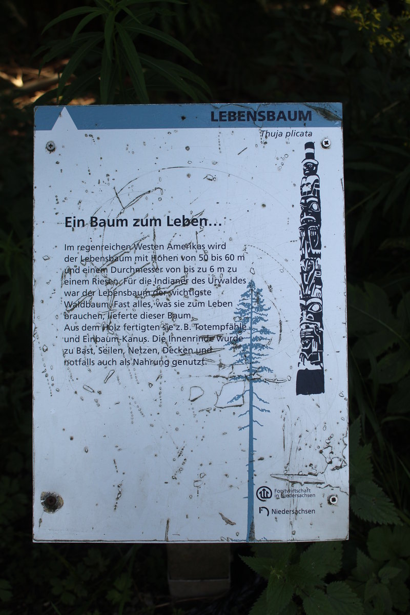 05.08.2020 Urbex Spezial -  Harz  Tag Fünf
WeltWald - Bad Grund
Infotafel