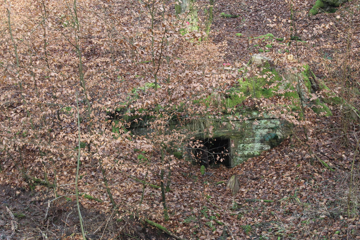 08.02.2020 Urbex Spezial -  Burg-Bunker-Höhle 
Zweiter Teilabschnitt - Bunkertour
Fundstück am Wegesrand