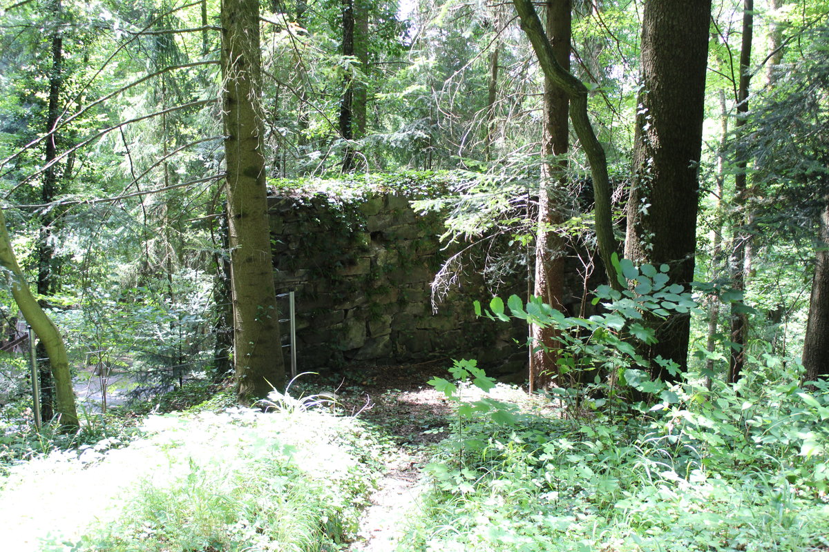 20.07.2019 Urbex Spezial - Schwarzwald
KZ-Gedenkstätte  Vulkan 
Ruinen I