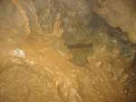 27.09.2014 Grotte de la Malatier / Frankreich  Es gibt in diesem Schacht, wie in jeder selbst   unbedeutenden Vertiefung, so viel zu erforschen   und zu entdecken, dass wir keine Enttäuschung