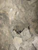 08.03.2015 Höhlen um Muggendorf
Ein  Geocache 