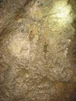 01.05.2015 Tag der Arbeit mit einem Urbex-Spezial - Stillgelegtes Silberbergwerk
Hier mal einer von den Bewohnern, der nicht unbedingt Phobien auslöst. 