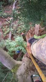 28.08.2015 Urbex Spezial: Im Wald da sind die ..... Seilsportler 
Sicherungsposten auf null,
Abseiler auf 15 Meter