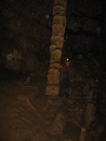 25.06.2016 Mundus subterraneus
Grotte de la Malatier - Frankreich
In der Palmenhalle
Klaus - an der großen Palme