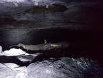 03.10.2019 Urbex Spezial - Harztour Tag 4   Die große Höhle im Harz   T-Shirt Wetter in der Höhle  Klaus beim Ablichten von Steinmännchen  Diese (Steinmännchen) habe