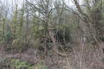26.01.2020 Urbex Spezial -  Spuren im Wald 
Mit dem Blick, ein wenig den Hang hinauf,
erscheint ein weiteres Gebäude im derzeit
etwas lichten Walde.
