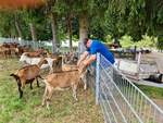 02.08.2020 Urbex Spezial -  Harz 
Tag Drei  - Teil Eins, Wandern
Ziegenalm in Sophienhof
 Der Ziegenflüsterer 