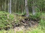 04.08.2020 Urbex Spezial -  Harz  Tag Vier
Wandern rund um Wildemann
Grumbacher Teich - Blick in den Wald